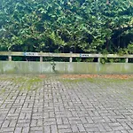 Strandgut